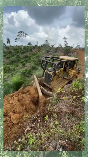 BULLDOZERS FIGHT ON STEEP SLOPES & THRUBS! Opening a Path in the Middle of the Forest #heavycivil