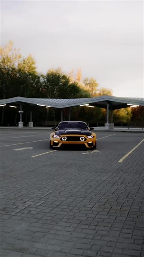 FUNK AHHHH: Mustangs Edit for Car Enthusiasts