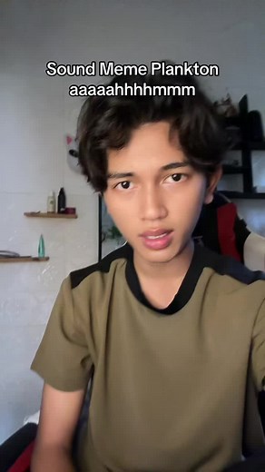 Plankton Aaaahhhmmmm Sound Meme Explained