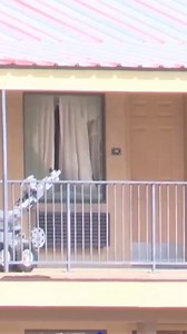 7.5K views · 156 reactions | Shocking Footage: Suspect Opens Fire on SWAT Robot! Watch as the brave men and women of the Lubbock County tactical team, supported by TMPA, take control of the situation, demonstrating unparalleled skill and courage under fire. When seconds count, Texas law enforcement stands strong!  #TMPA #LubbockCounty #TexasStrong #SWAT #LawEnforcement | TMPA | Facebook