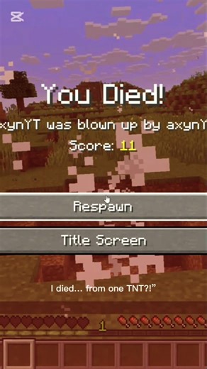 I tested TNT vs netherite armor