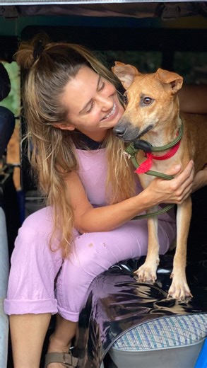 ✨ One of my more memorable cases of 2025 was little Lizzie ✨ It was a bit of a saga as 3 days before we found her stuck in this garbage pit/well situation, I had found her unattended puppies outside my house (assuming them to be dumped, as often happens in my world 🫠). Took them in, sorted them out, and then 3 days later it all started to make a bit more sense when we found Lizzie down in that pit with a horrible case of mastitis and sores all over her feet from standing in rotten food for days