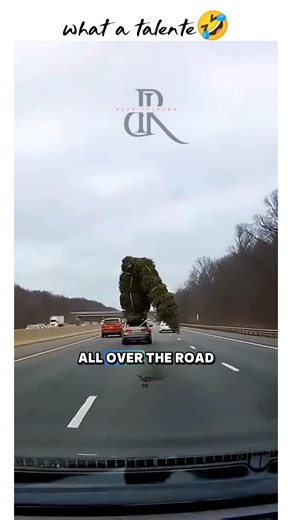 Driver’s Epic Mistake Goes Viral | Funny Dashcam Fail #shorts #heavydriver #caughtoncamara