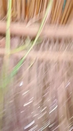 Anjli (@anjli4032)’s videos with original sound - 🖖🥀