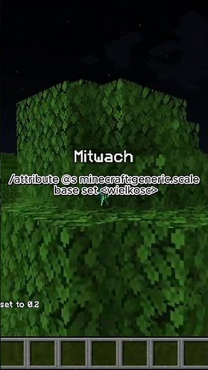 JAK ZMIENIĆ SWÓJ ROZMIAR W MINECRAFT?