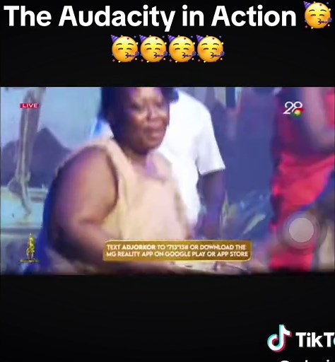 Best Voice Performance: The Audacity in Action