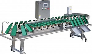 [Hot Item] Easy Operation Fruit Vegetable Processing Machines Avocado Garlic Sorting Machine