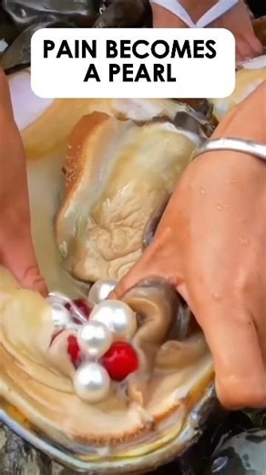 How Oysters Turn Pain Into Pearls | Amazing Science Fact #Shorts