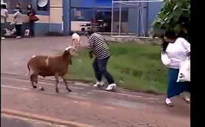 5.8K views · 52 reactions | Goat Simulator IRL  | Instant Gaming | Facebook