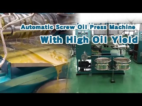 Automatic Screw Oil Press Machine with High Oil Yield | Customizable Oil Extraction Equipment
