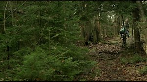 Backcountry 2014 720p WEB-DL www.HD-FilmeBune.com