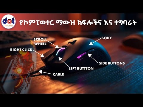 Computer Mouse parts and its function የኮምፒወተር ማውዝ ክፍሎችና እና ተግባራት