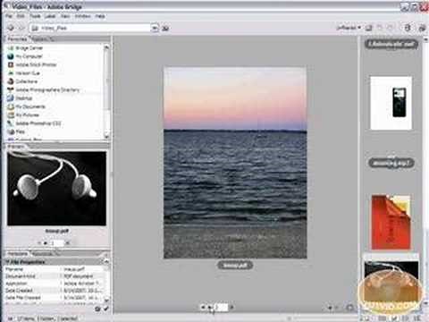 Adobe Bridge Tutorial - Changing Layout Settings and Views!