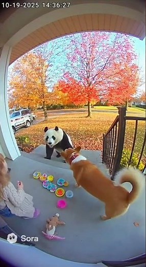 🔴 My Home LIVE on Camera – You Won’t Believe What Happened!