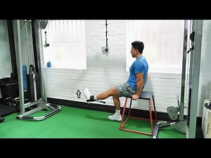 Seated Leg Extension Cable | Cable | Strength and Conditioning Exercises
