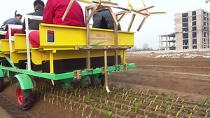 1.Multiple function: transplanting, watering seedling 2.It can complete transplanting and watering operation at same time. 3.These machines are suitable for planting all seedlings including lettuce, broccoli, cabbage, onion , etc. 4.Row spacing ,spacing and depth of plants can be variable. The row spacing even down to 10cm. 5.We can produce 1-12 rows seedling transplanter 6.High productivity, low seedling loss rate. | AGRI MECH