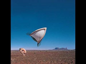 The Cranberries - Animal Instinct