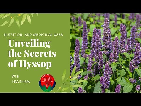 Exploring the Mysteries of Hyssop (Hyssopus officinalis): History, Nutrition, and Medicinal Wonders