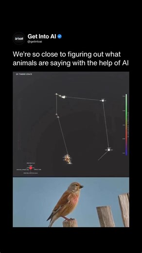 Artificial Intelligence | AI on Instagram: "For most of human history, animal sounds were just noise to us. But with all the advances in AI and brain computer interfaces, we’re close to figuring out what all the ‘noise’ actually means. The video shows a bird making sounds while AI analyzes the audio in detail. The visuals represent patterns in pitch, rhythm, and repetition over time. AI can spot structure in these sounds that humans usually miss. By linking sound patterns to behavior and context