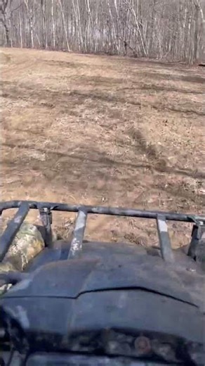 Quading #quading