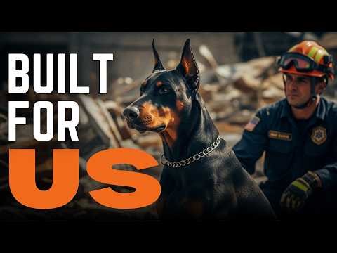 The Most Versatile Dog Breed Ever Created