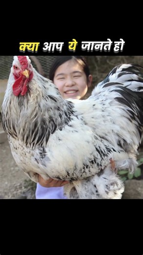 #mixtape #facts #shortsfeed