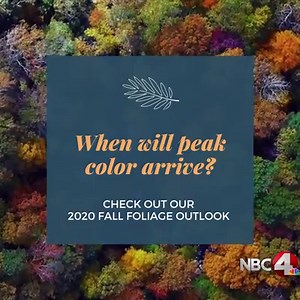 2K views · 30 reactions |  FALL COLORS ARE COMING  The weather plays a big part when determining when fall colors appear and how long we'll be able to enjoy them. ➡ https://nbc4i.co/3jieh8L #fall #autumn #nature #fallcolors #autumnleaves #nbc4 #local4you | NBC4 | Facebook