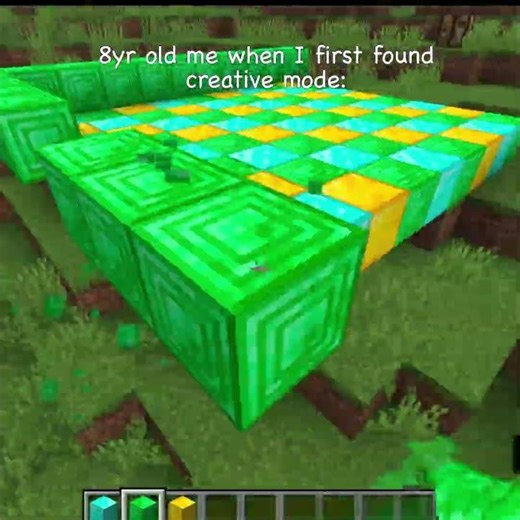 8yr old me when I first found creative mode: MINECRAFT