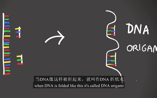 DNA 折纸术是什么
