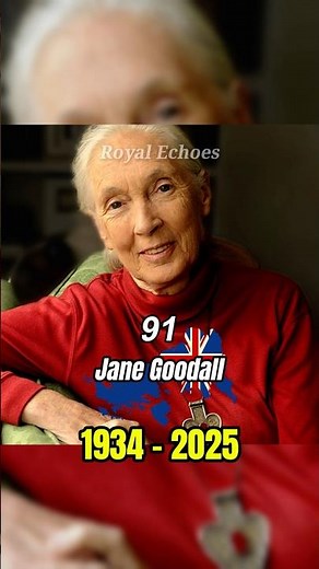 Jane Goodall Dies at 91: The Legendary Chimpanzee Scientist’s Life Story