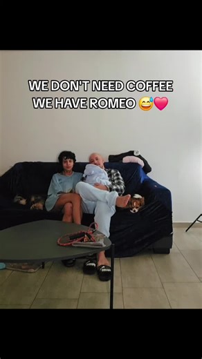 Discover Why Romeo is the Star of Our Day