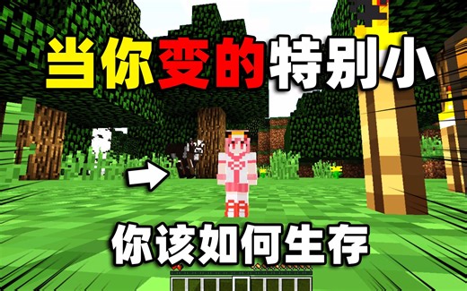 当你变成世界上最小的人，你该如何生存下去呢，我的世界作死大挑战！