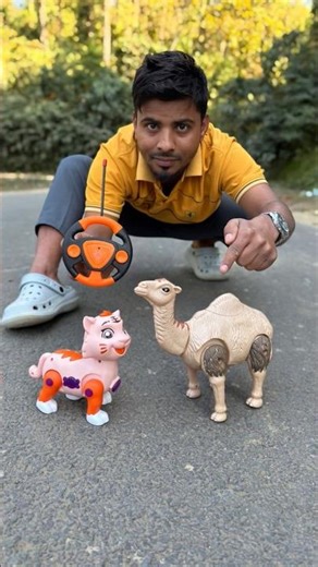 RC Cat 🐱 Vs Banga Rc Camel Unboxing dheko 😛