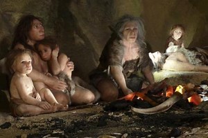 Neanderthals included specific menu items in their diet like woolly rhinoceros and wild mushrooms