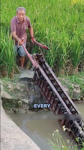 Ancient Farming Irrigation That Works Without Electricity 🌾