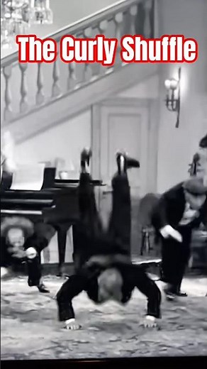The 3 stooges the Curly Shuffle #funny #comedyfilms #comedy #fyp