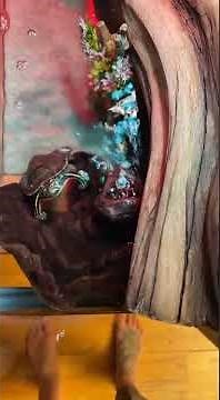 Adorable Turtle Rushes to Greet Owner