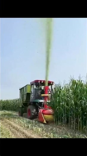 “Powerful Forage Harvester in Action | Fast Corn Harvesting with Modern Farming Machine”