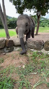 410K views · 9.8K reactions | It’s the 1st of December and the...