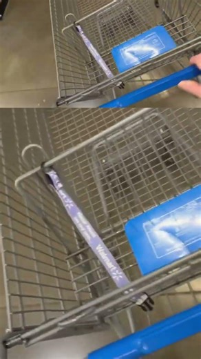 I Found the WORST Shopping Cart at Walmart