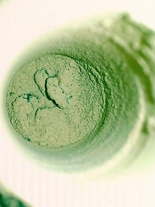 Perseverance Drilled and Collected Mars Rock Sample for return to Earth.#latest #perseverance #mars