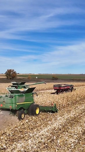 127K views · 2.5K reactions | Collecting kernels   Troy Randall - Lead Technology Specialist #21stCenturyEquipment #JohnDeere #CornHarvest | 21st Century Equipment | Facebook