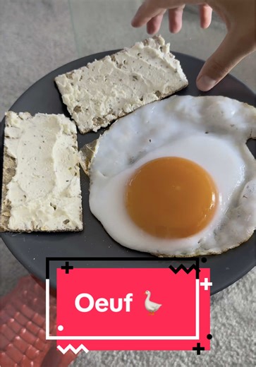 ŒUF D’OIES PARTIE 2 😂 #protein #proteine #oeuf #oies #hchizen #sport