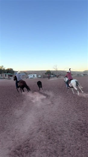 Effective Team Roping Techniques for Cowboys