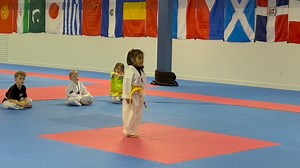 The 4-6 year old yellow belts have been working so hard to learn their first pattern (poomsae) Taegeuk 2. Here's a few of the little ones performing it at Wednesday's class! | Sarnia Olympic Taekwondo