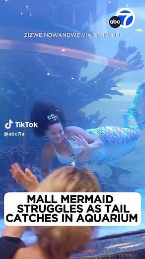 Mall Mermaid Scare in South Africa