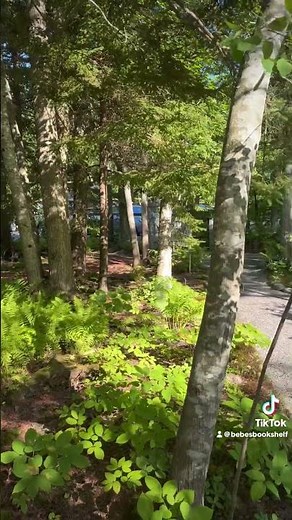 The Hidden Wild Gardens of Acadia National Park