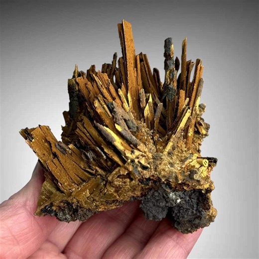 Goethite Pseudomorph After Selenite: Chihuahua, Mexico Fine Minerals - Etsy