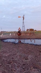 #campo #caballocriollo | Angela Rodriguez