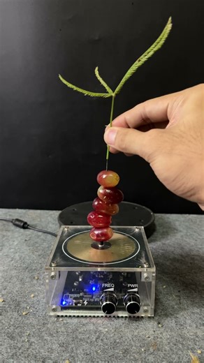 Tesla coil + 5grapes + plants